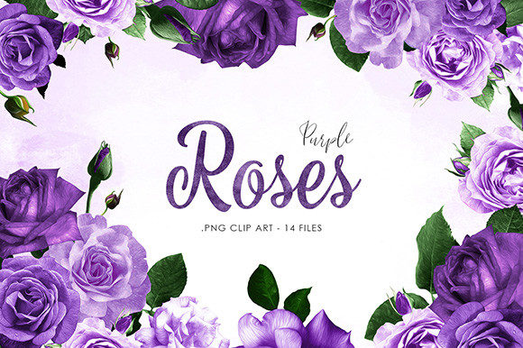 Download Purple Roses Clipart - Art Collection