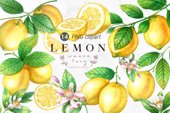 Download Lemon Fruit Watercolor Clipart, PNG - Art Collection